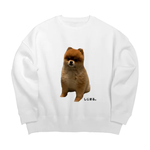 しーくんかわいいね Big Crew Neck Sweatshirt