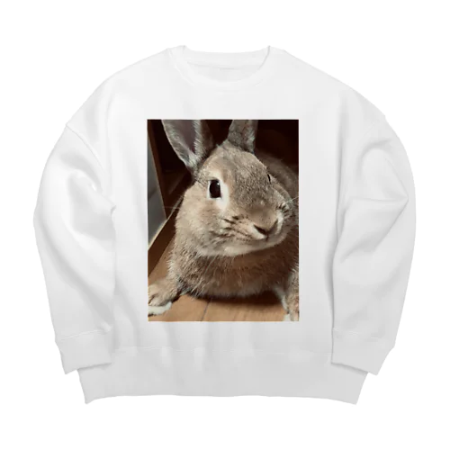 うさぎのはんちゃん. Big Crew Neck Sweatshirt