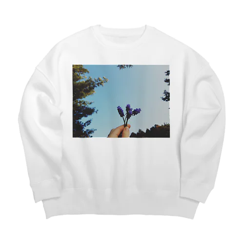 庭の花 Big Crew Neck Sweatshirt