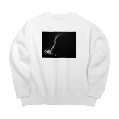 JerryFish Big Crew Neck Sweatshirt