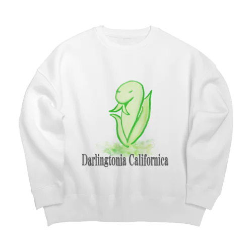 Darlingtonia Californica Big Crew Neck Sweatshirt