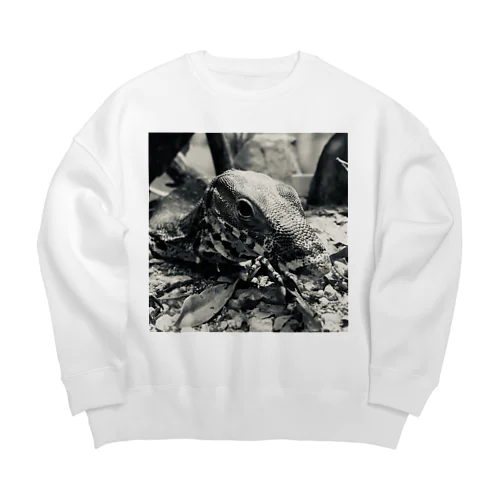 COMODO Big Crew Neck Sweatshirt