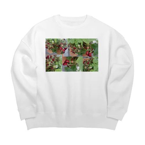 ワイルドストロベリー③(フラワー) Big Crew Neck Sweatshirt