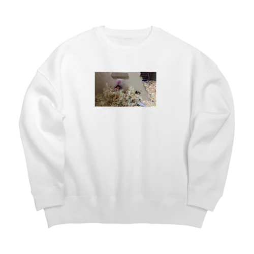 モハム Big Crew Neck Sweatshirt