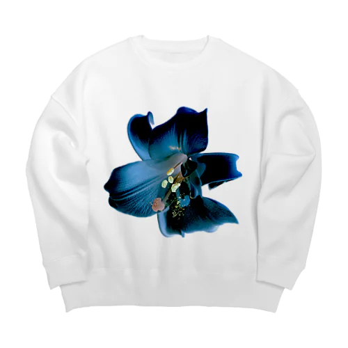 Lily (Denim Colour) Big Crew Neck Sweatshirt