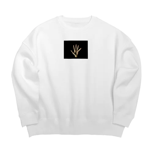 パー Big Crew Neck Sweatshirt