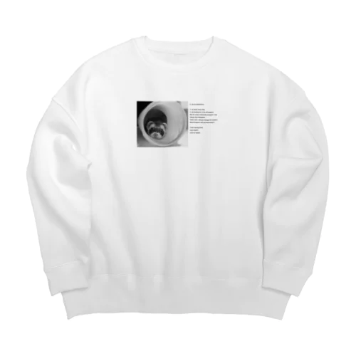 おしゃれフェレット Big Crew Neck Sweatshirt