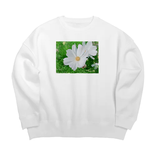 Cosmos Big Crew Neck Sweatshirt