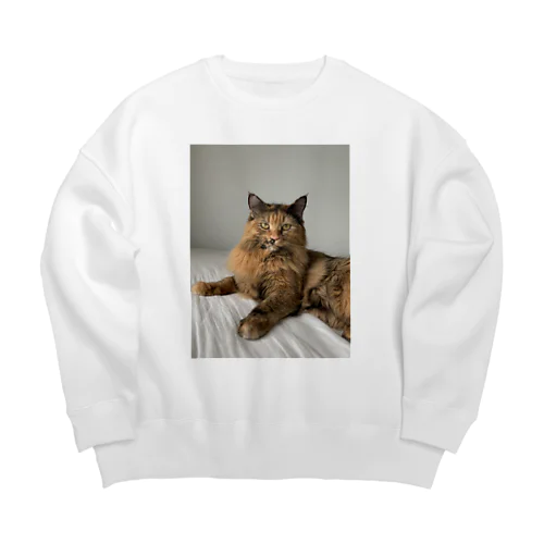 保護猫AKIMI Big Crew Neck Sweatshirt