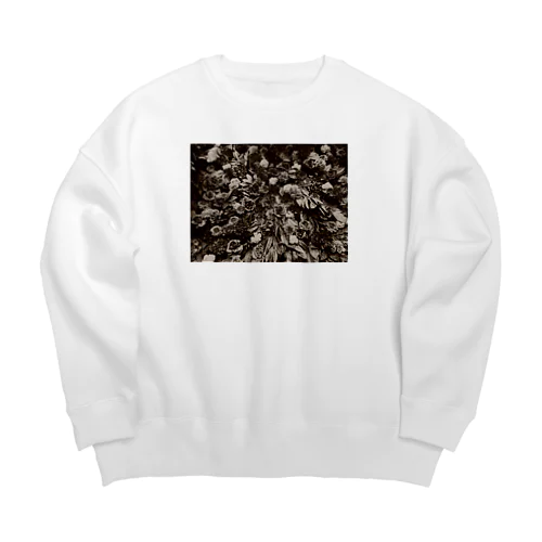 Love Big Crew Neck Sweatshirt