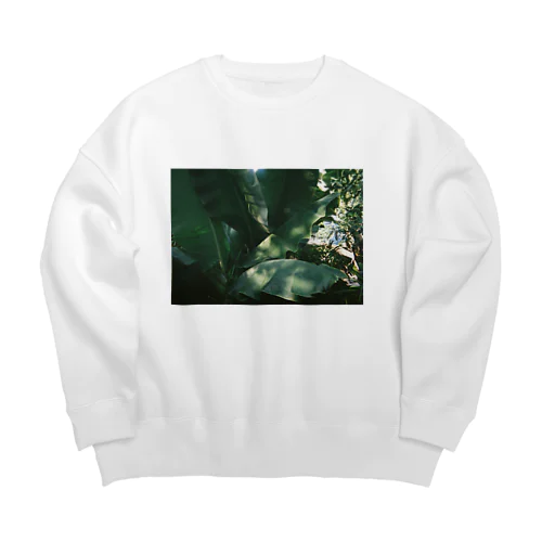 9歳初めてフイルムカメラで撮ったよ Big Crew Neck Sweatshirt