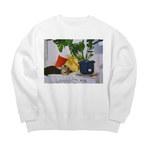 信号待ち Big Crew Neck Sweatshirt