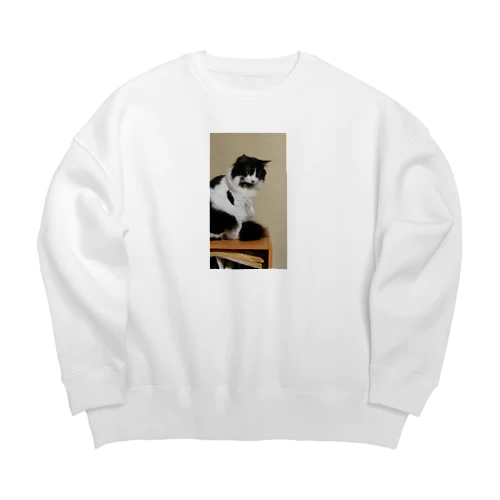 momo3 Big Crew Neck Sweatshirt