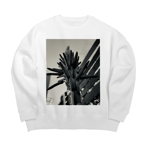 jam Big Crew Neck Sweatshirt