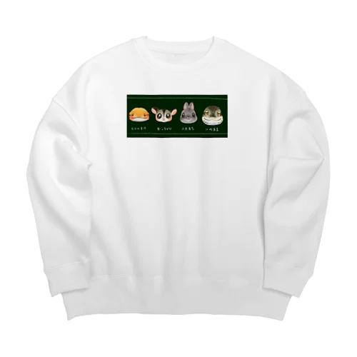 サンプル Big Crew Neck Sweatshirt