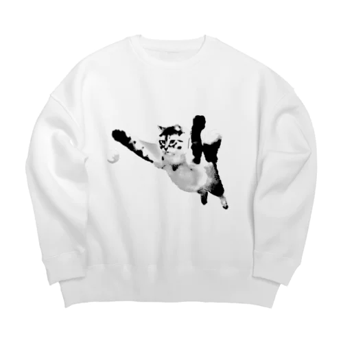 廊下で遊ぶ猫ロイちゃん Big Crew Neck Sweatshirt