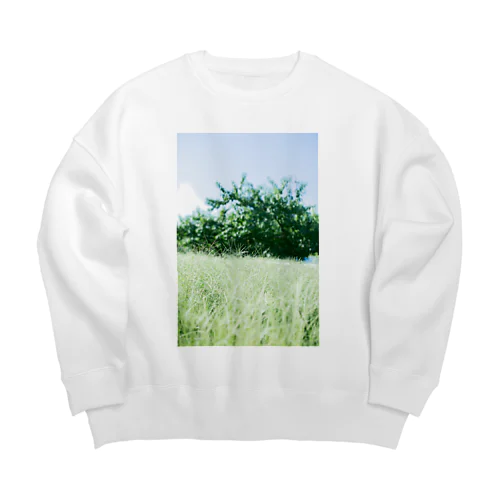 morning green Big Crew Neck Sweatshirt