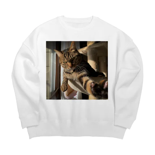 n-ni Big Crew Neck Sweatshirt