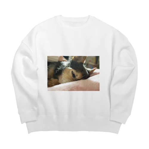 ワン Big Crew Neck Sweatshirt