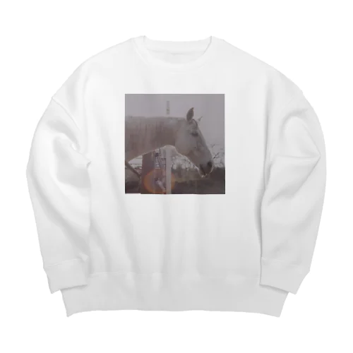 Sun and Horse Big Crew Neck Sweatshirt