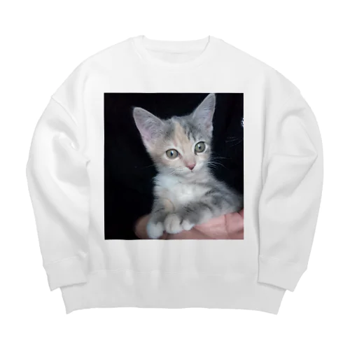 alice01 Big Crew Neck Sweatshirt