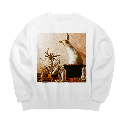 グラパキ Big Crew Neck Sweatshirt