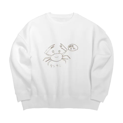 タシカニ Big Crew Neck Sweatshirt