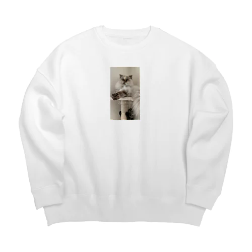 Mugisumi Big Crew Neck Sweatshirt