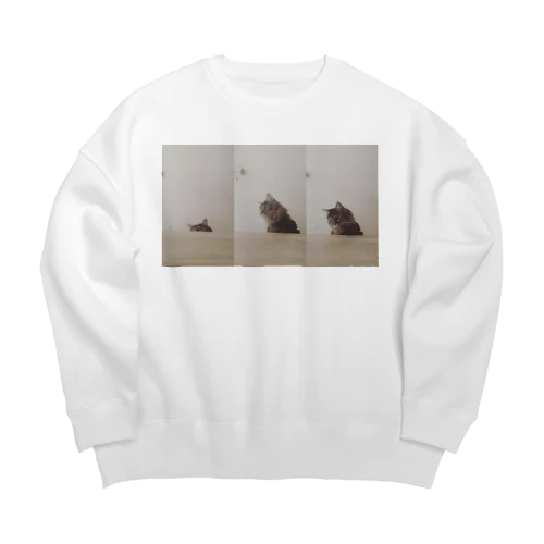 tsumugi Big Crew Neck Sweatshirt