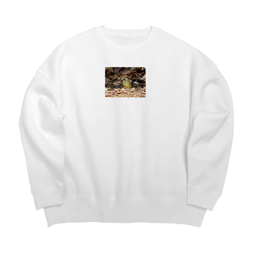 緑色のアオジ Big Crew Neck Sweatshirt