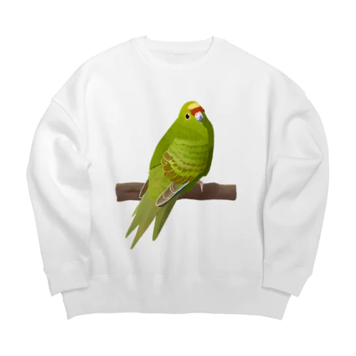 キガシラアオハシインコ(前面プリント) Big Crew Neck Sweatshirt