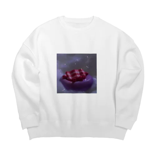 🥓🥓🥓 Big Crew Neck Sweatshirt