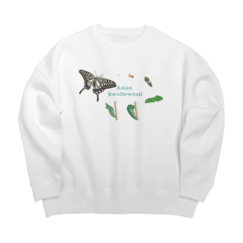 ナミアゲハの発生サイクル Big Crew Neck Sweatshirt