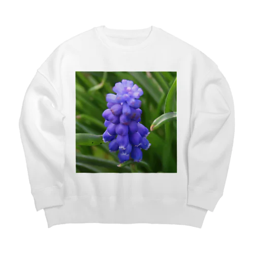 Muscari botryoides(1:1) Big Crew Neck Sweatshirt