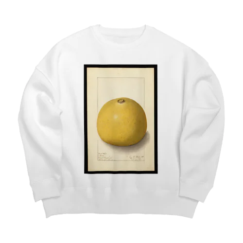 Aegle marmelos  Big Crew Neck Sweatshirt