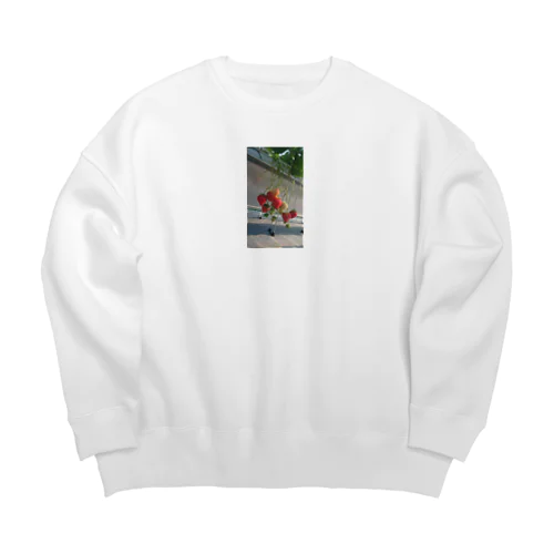 静岡いちごグッズ Big Crew Neck Sweatshirt