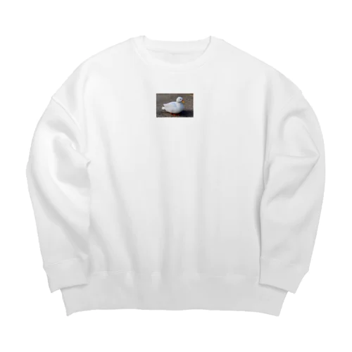 アヒル Big Crew Neck Sweatshirt