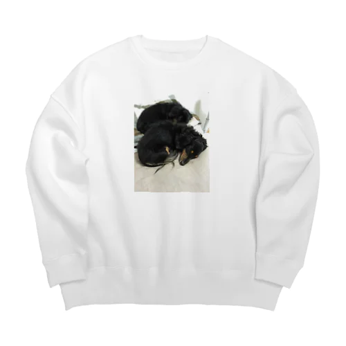 カニヘンダックス達 Big Crew Neck Sweatshirt