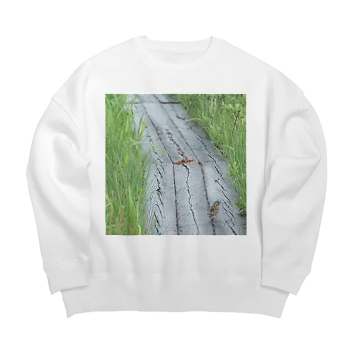 ホオアカの寄り道② Big Crew Neck Sweatshirt