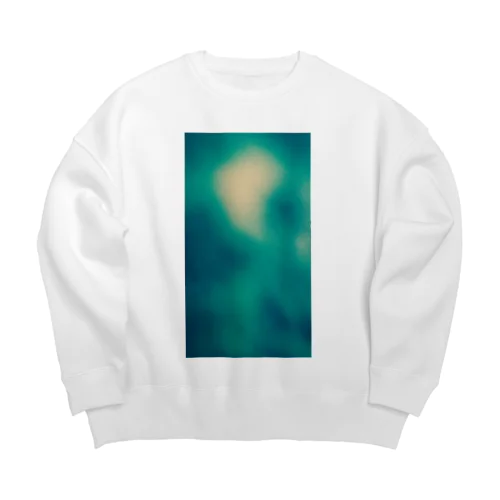 ２色パターン10 Big Crew Neck Sweatshirt