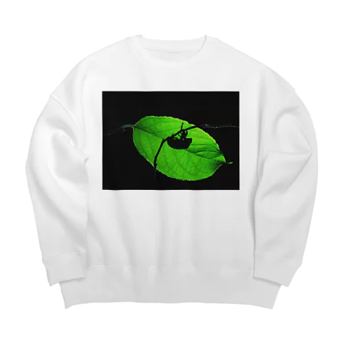 セミシルエット Big Crew Neck Sweatshirt