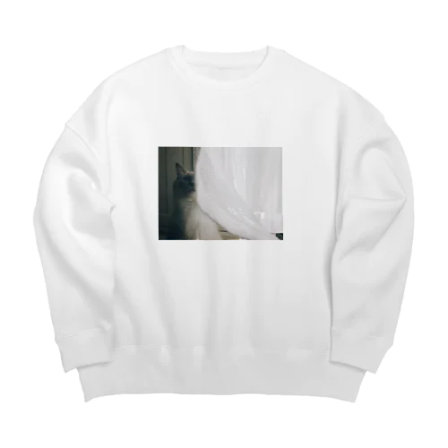 うるわしのシャウエン Big Crew Neck Sweatshirt