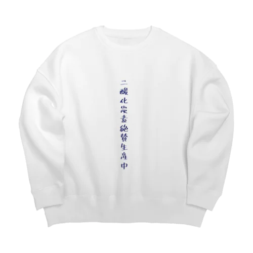 二酸化炭素生産 Big Crew Neck Sweatshirt