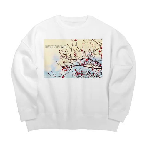 The sky’s the limit!  Big Crew Neck Sweatshirt