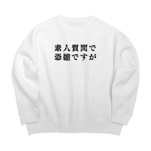 素人質問で恐縮ですが Big Crew Neck Sweatshirt