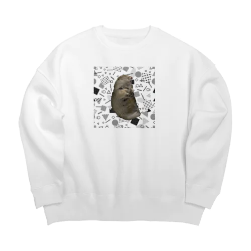 COCO Big Crew Neck Sweatshirt