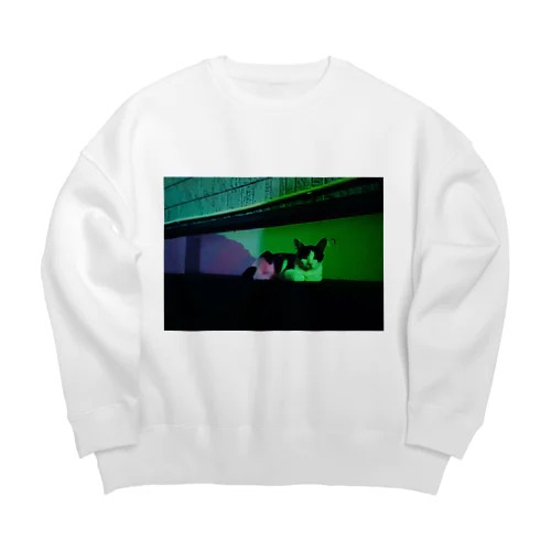 まどろむ野良猫（にゃーすけのこども） Big Crew Neck Sweatshirt