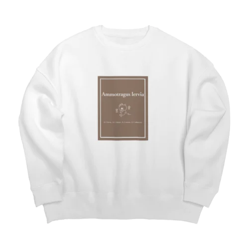 バーバリーシープ Big Crew Neck Sweatshirt