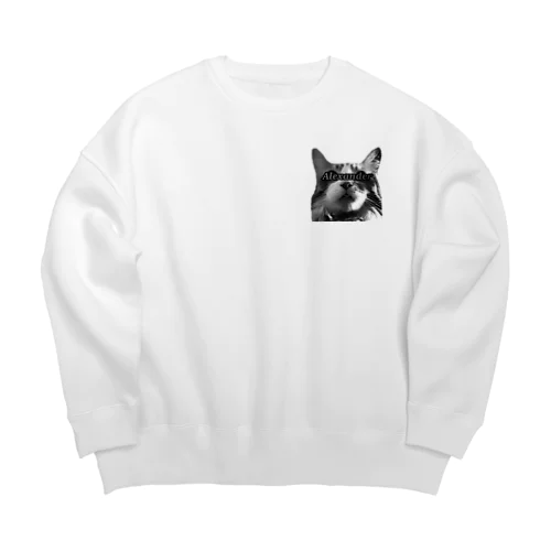 目線アレクサンダー Big Crew Neck Sweatshirt