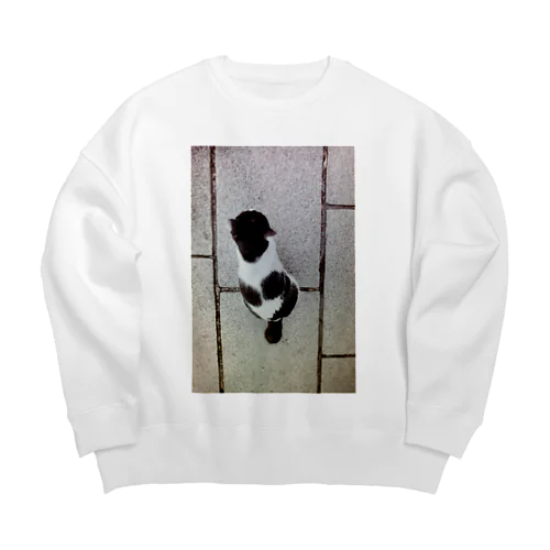 タマ🐈 Big Crew Neck Sweatshirt